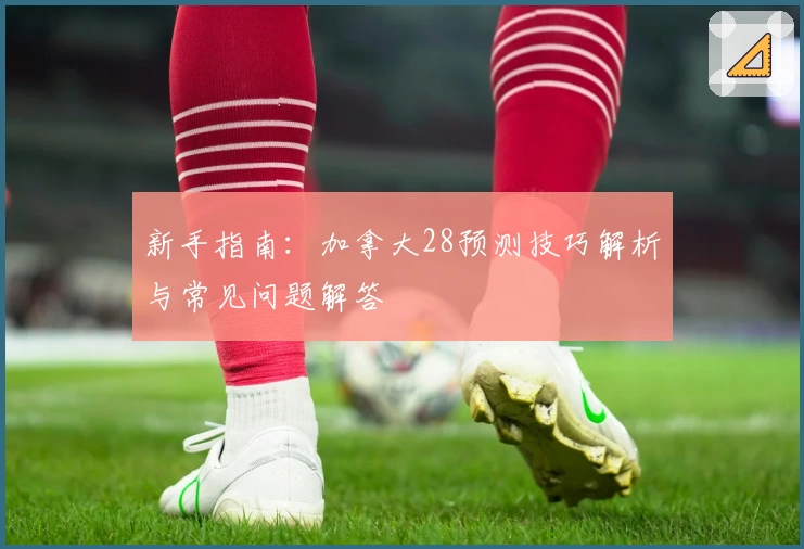 新手指南：加拿大28预测技巧解析与常见问题解答