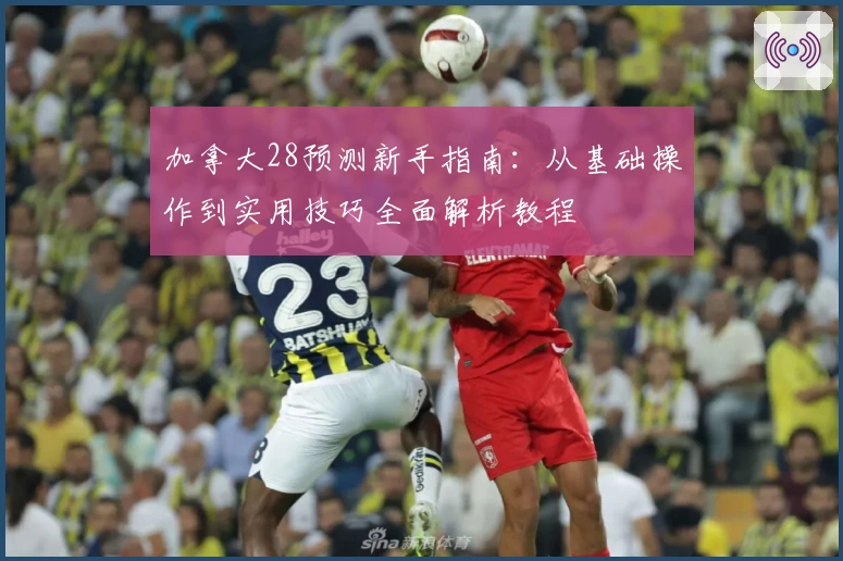 加拿大28预测新手指南：从基础操作到实用技巧全面解析教程