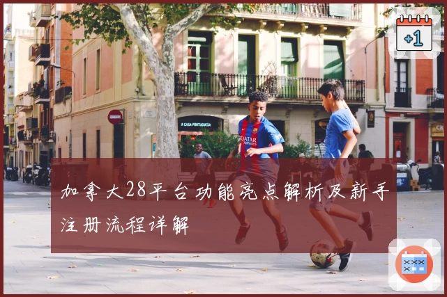加拿大28平台功能亮点解析及新手注册流程详解