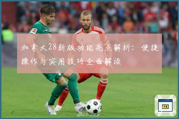 加拿大28新版功能亮点解析：便捷操作与实用技巧全面解读