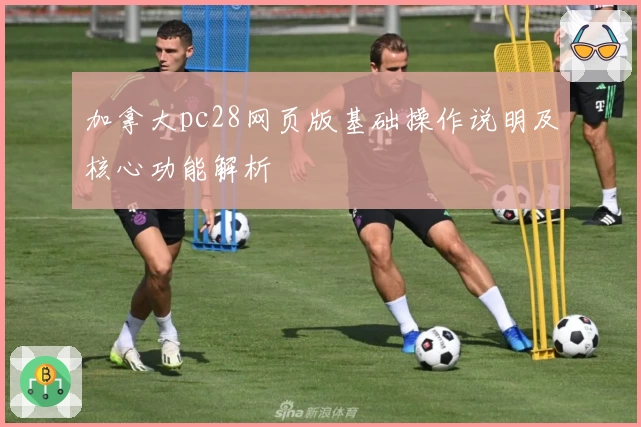 加拿大pc28网页版基础操作说明及核心功能解析