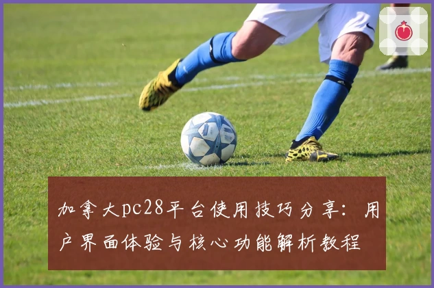 加拿大pc28平台使用技巧分享：用户界面体验与核心功能解析教程