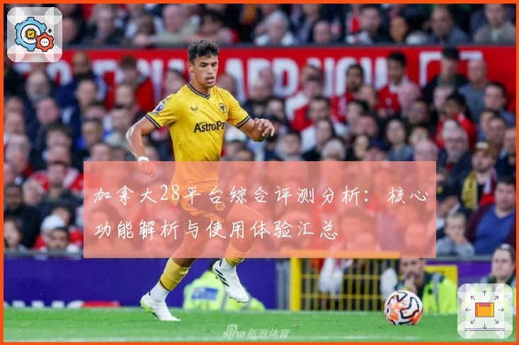 加拿大28平台综合评测分析：核心功能解析与使用体验汇总