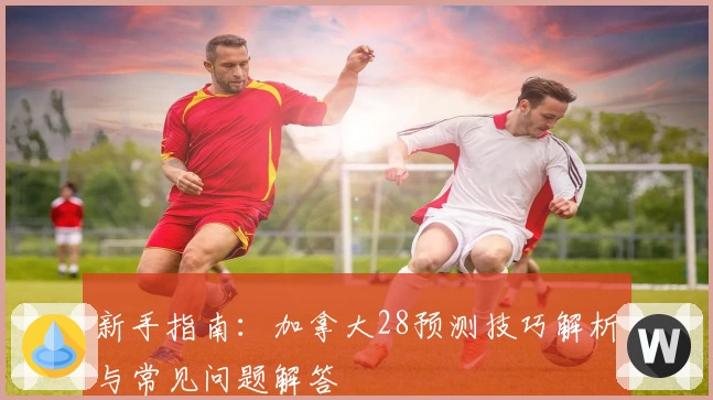 新手指南：加拿大28预测技巧解析与常见问题解答