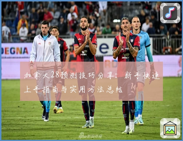 加拿大28预测技巧分享：新手快速上手指南与实用方法总结